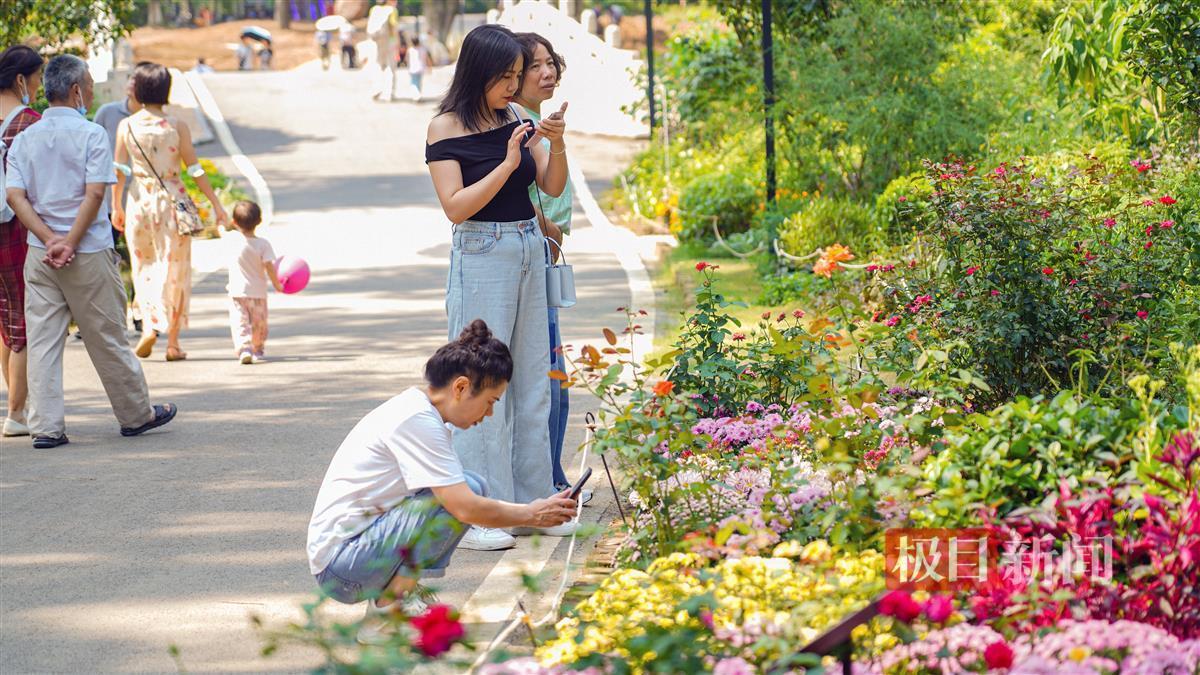 百老汇平台下载